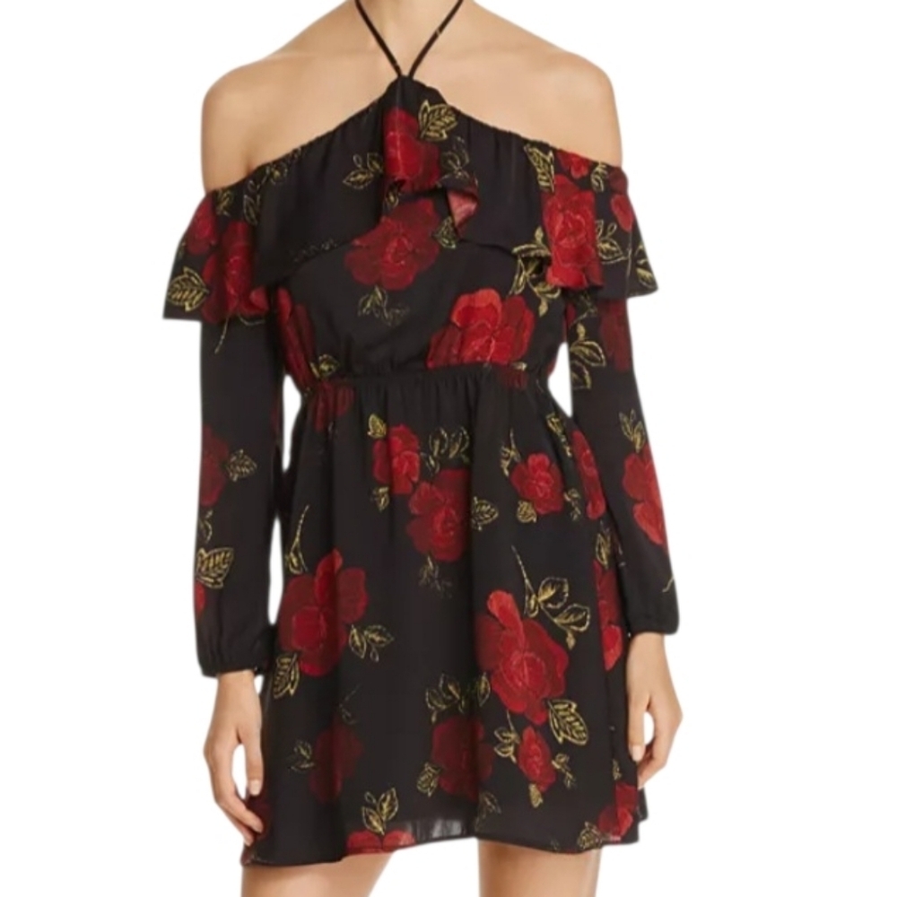 Cupcakes & Cashmere Black and Red Floral Mini Dress, Small